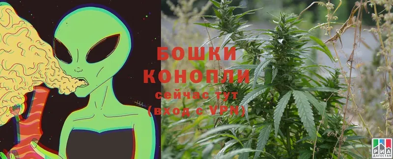 сайты даркнета наркотические препараты  Шахты  Шишки марихуана OG Kush 